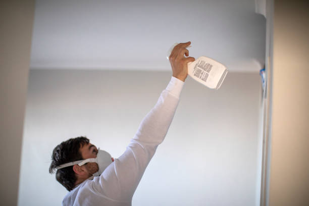 Best Same-Day Mold Removal  in Powell, OH
