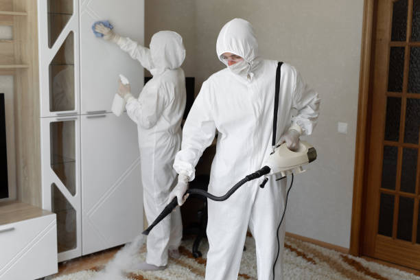 Best Mold Damage Repair  in Powell, OH