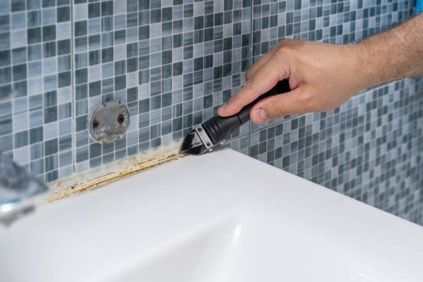 Best Office Mold Removal Services  in Powell, OH
